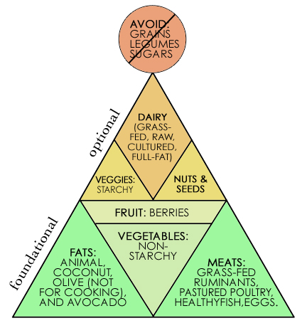 food pyramid worksheet. food chain pyramid worksheet.